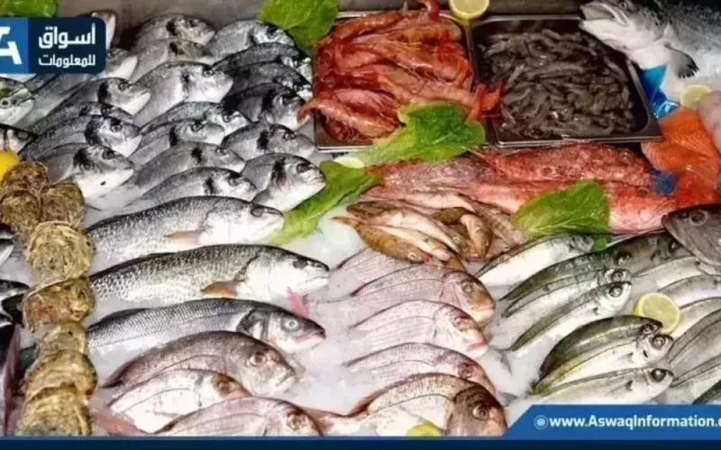 انخفاض جديد أسعار السمك بسوق العبور اليوم الخميس